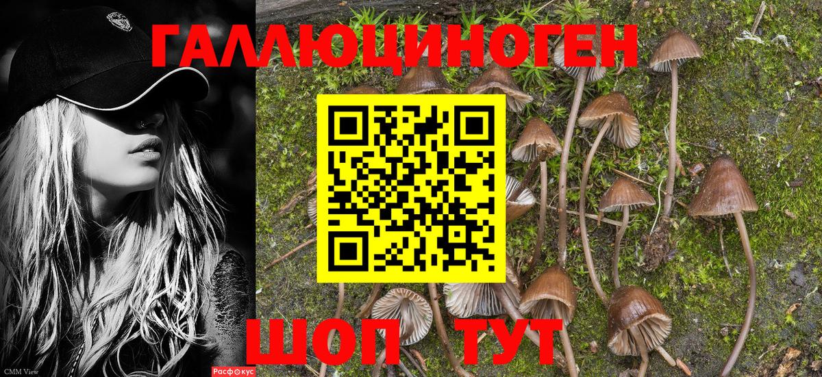 Красный Сулин  Галлюциногенные грибы MAGIC MUSHROOMS  Вход с VPN  Галлюциногенные грибы MAGIC MUSHROOMS 